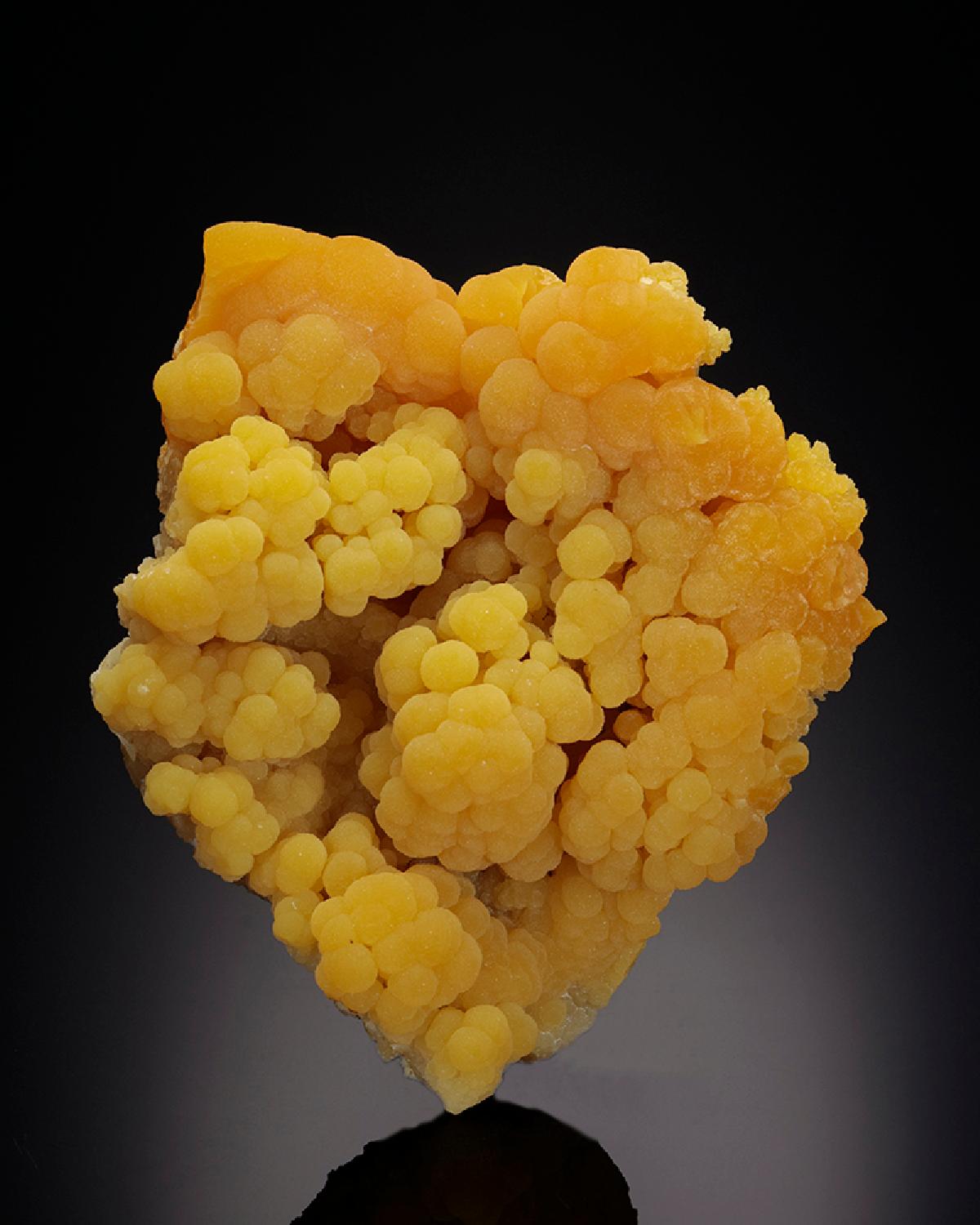 CC26227 specimen image