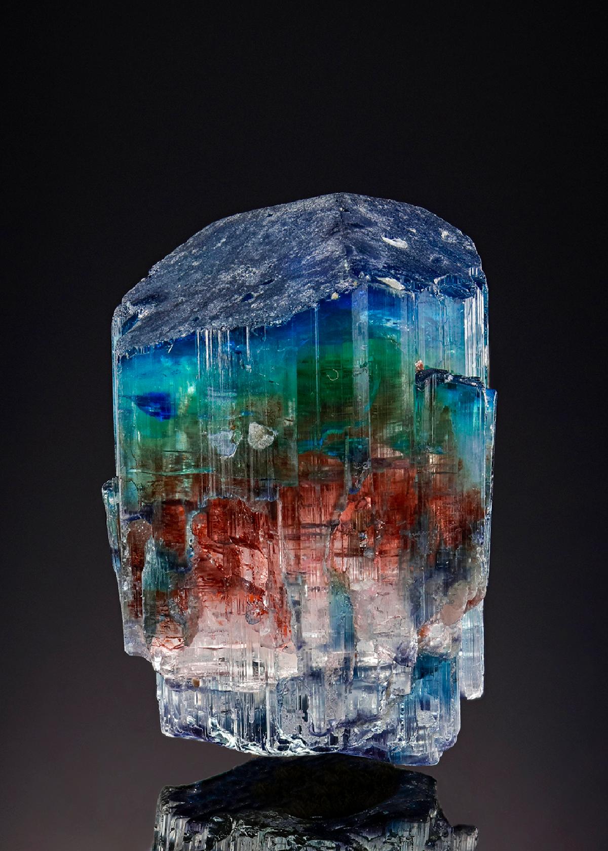 CC26234 specimen image