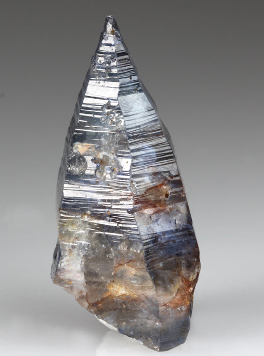 CC2624 specimen image