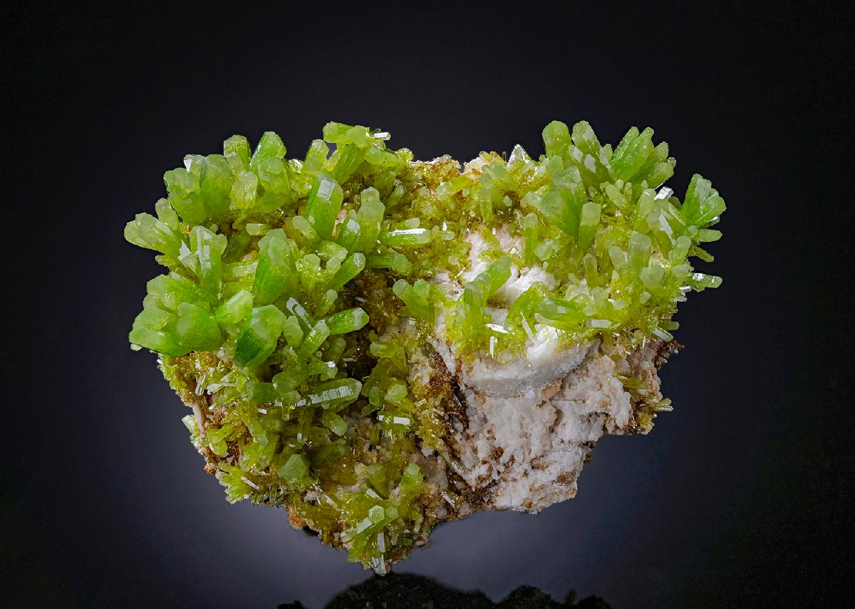 CC26406 specimen image