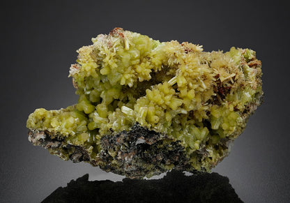 CC26437 specimen image