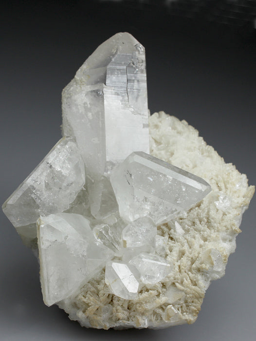 CC2644 specimen image