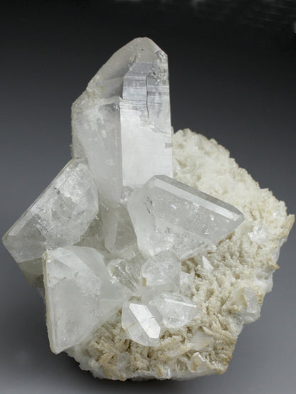 CC2644 specimen image