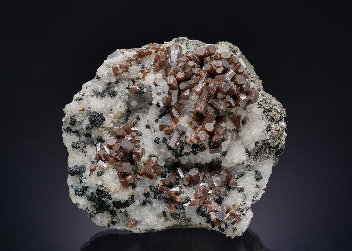 CC26442 specimen image