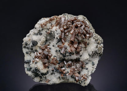 CC26442 specimen image