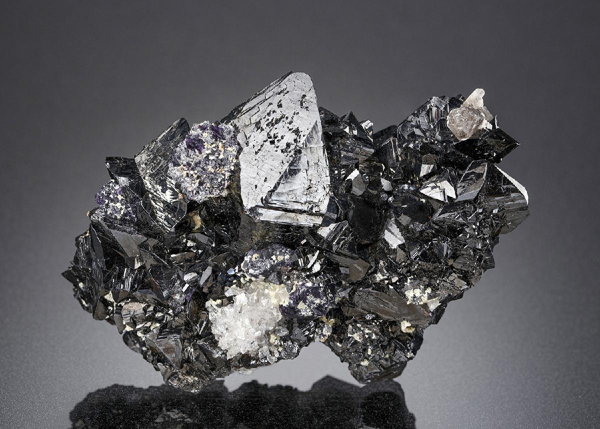 CC26456 specimen image