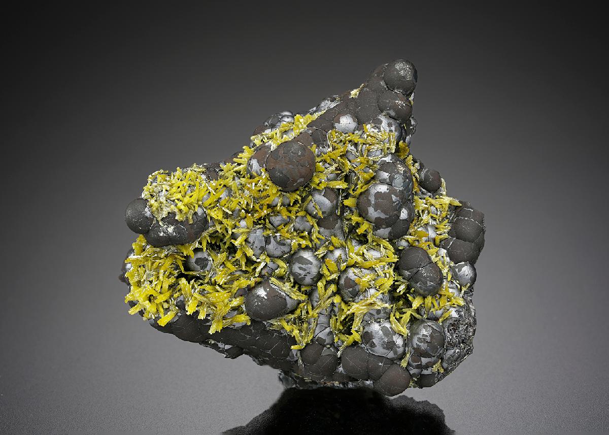 CC26466 specimen image