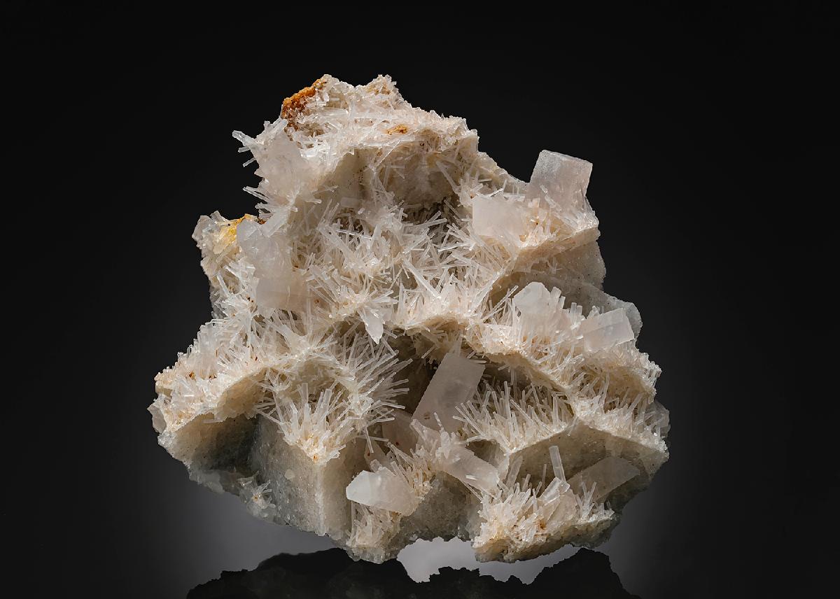 CC26483 specimen image