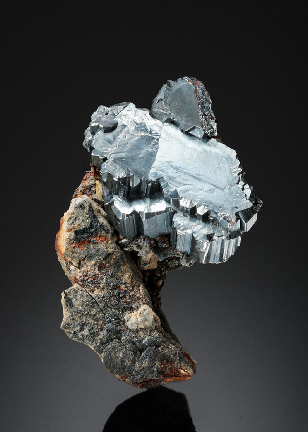 CC26593 specimen image