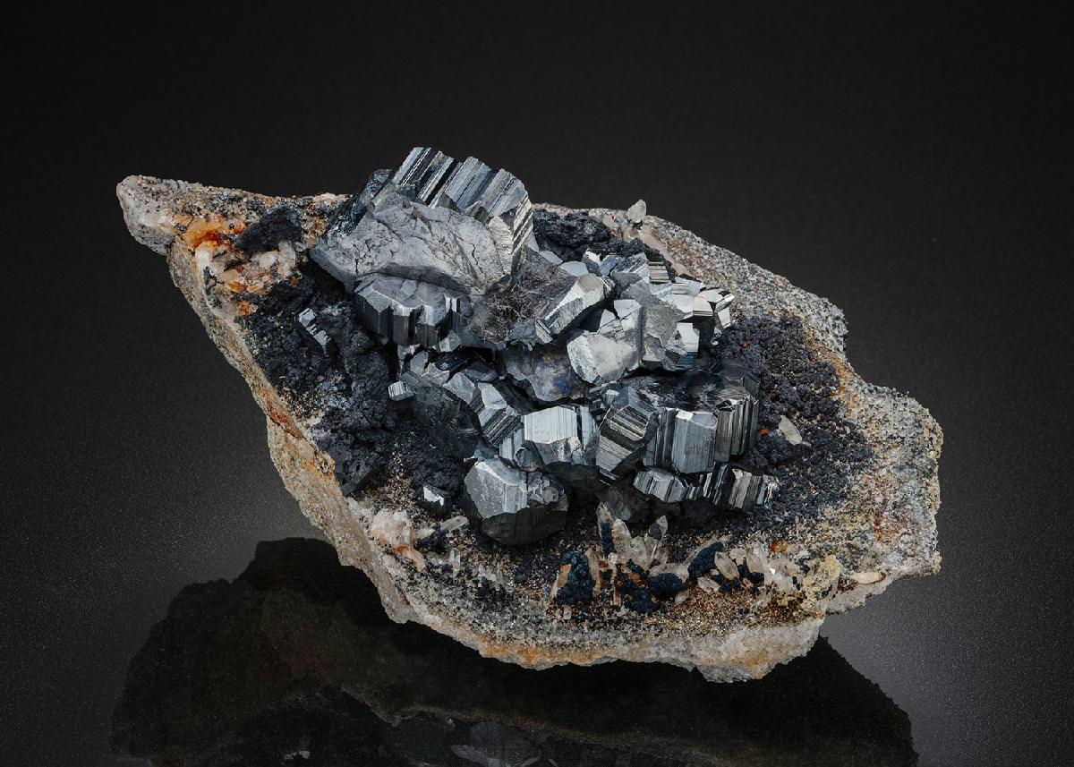 CC26595 specimen image