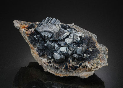 CC26595 specimen image