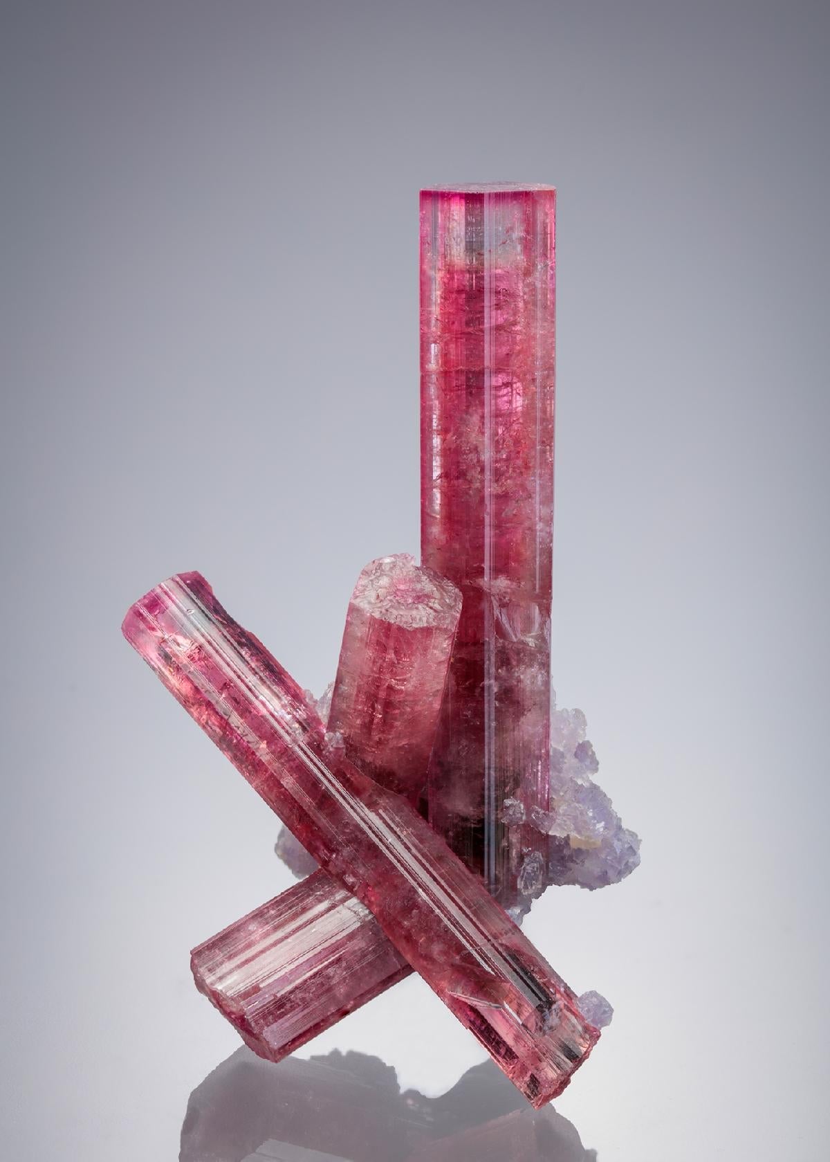 CC26679 specimen image