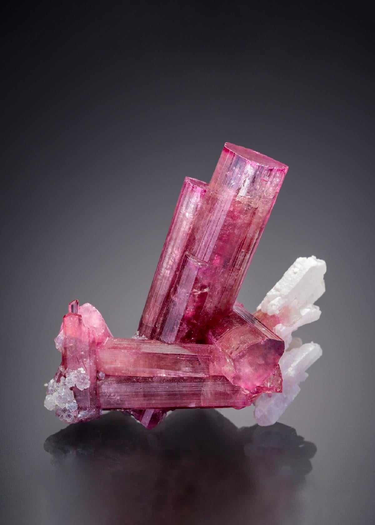 CC26680 specimen image