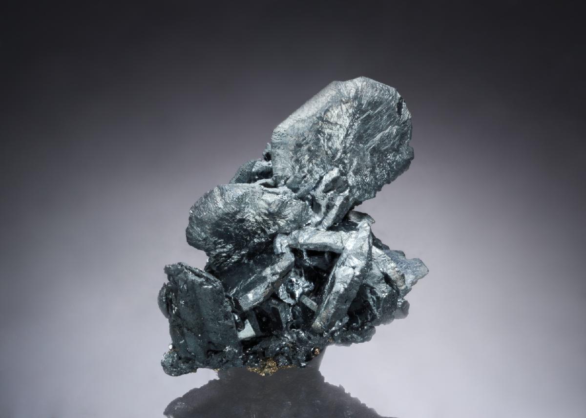 CC26702 specimen image