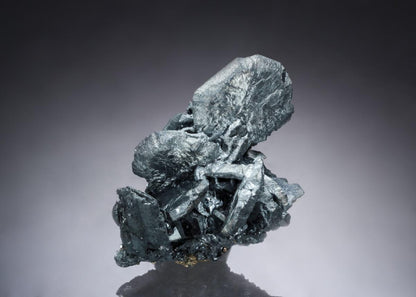 CC26702 specimen image