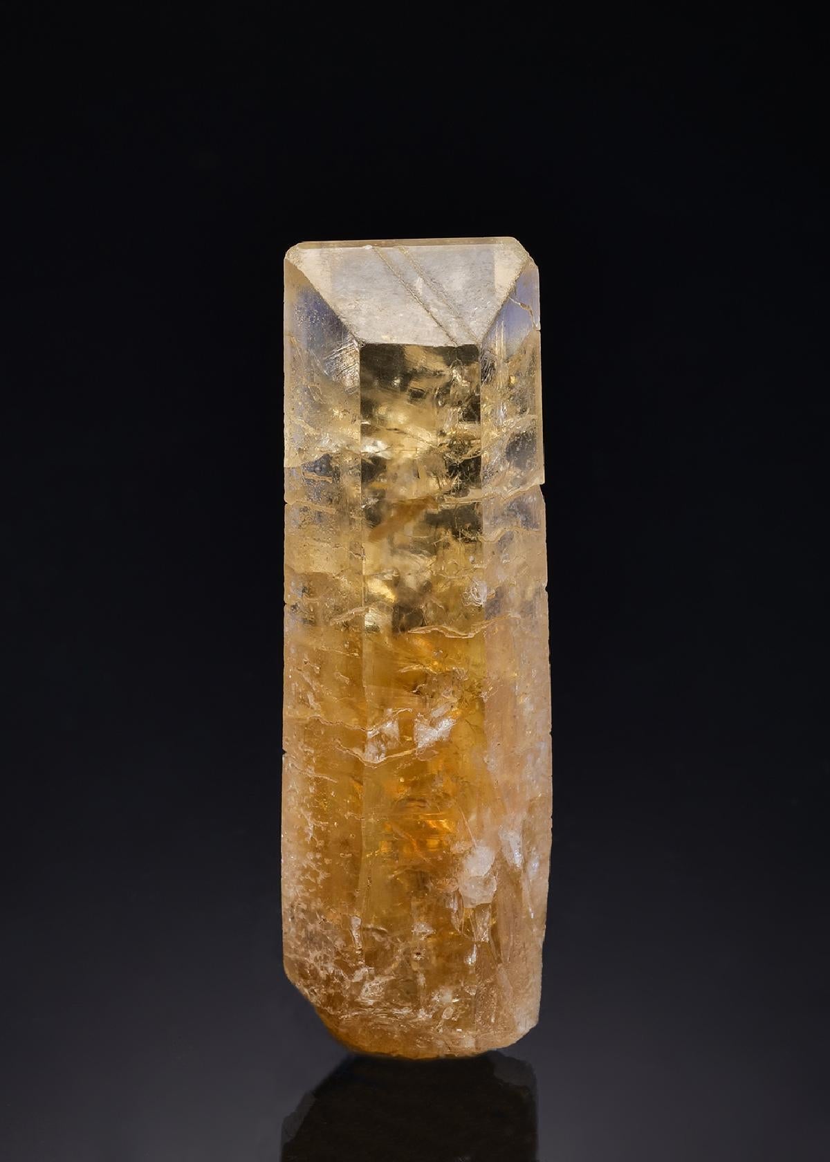 CC26735 specimen image