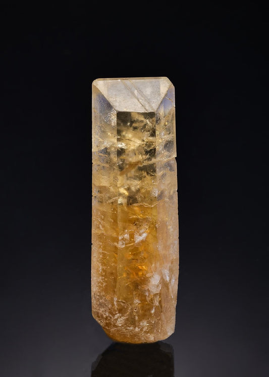 CC26735 specimen image