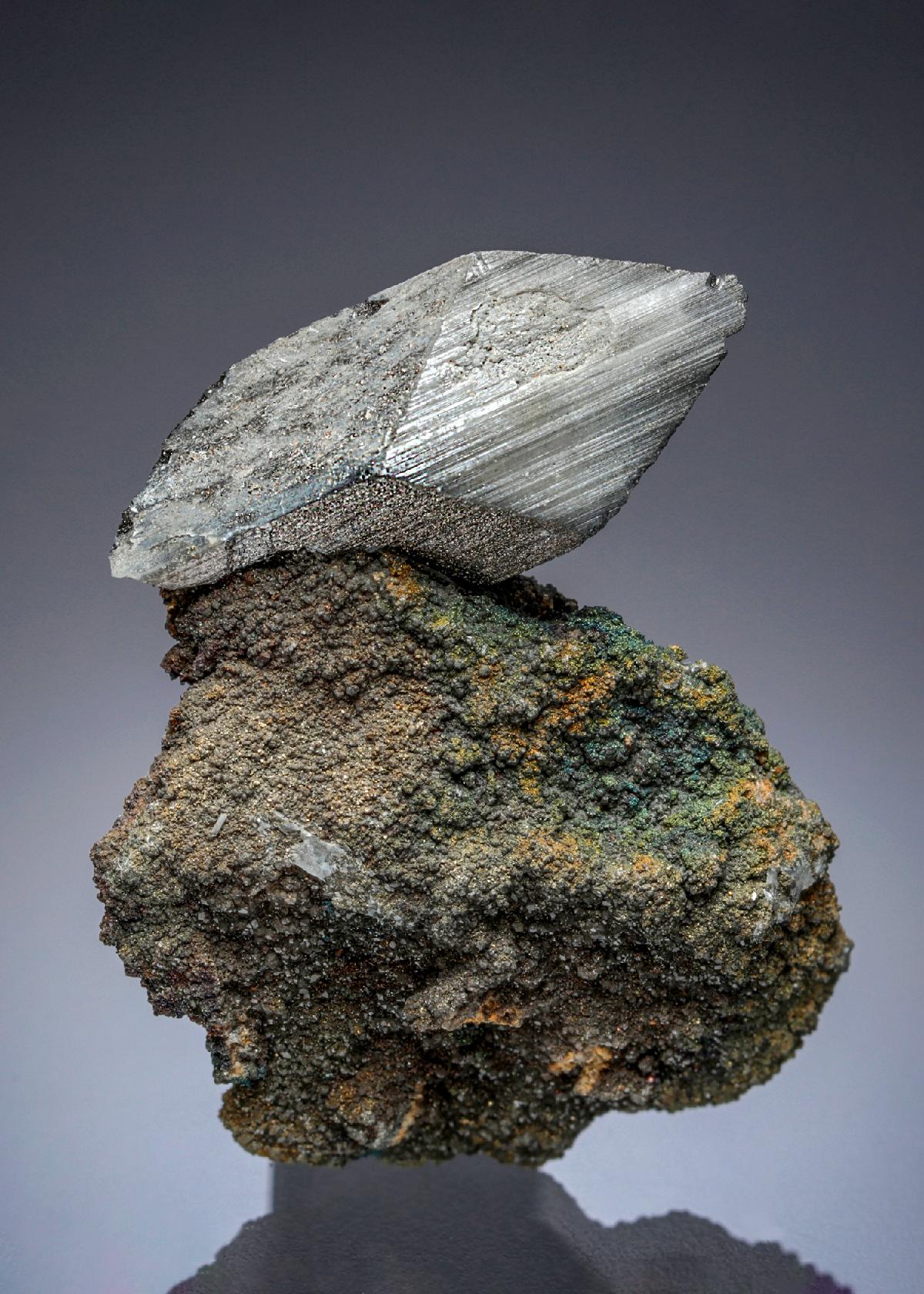 CC26811 specimen image