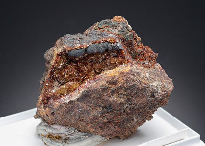 CC26831 specimen image