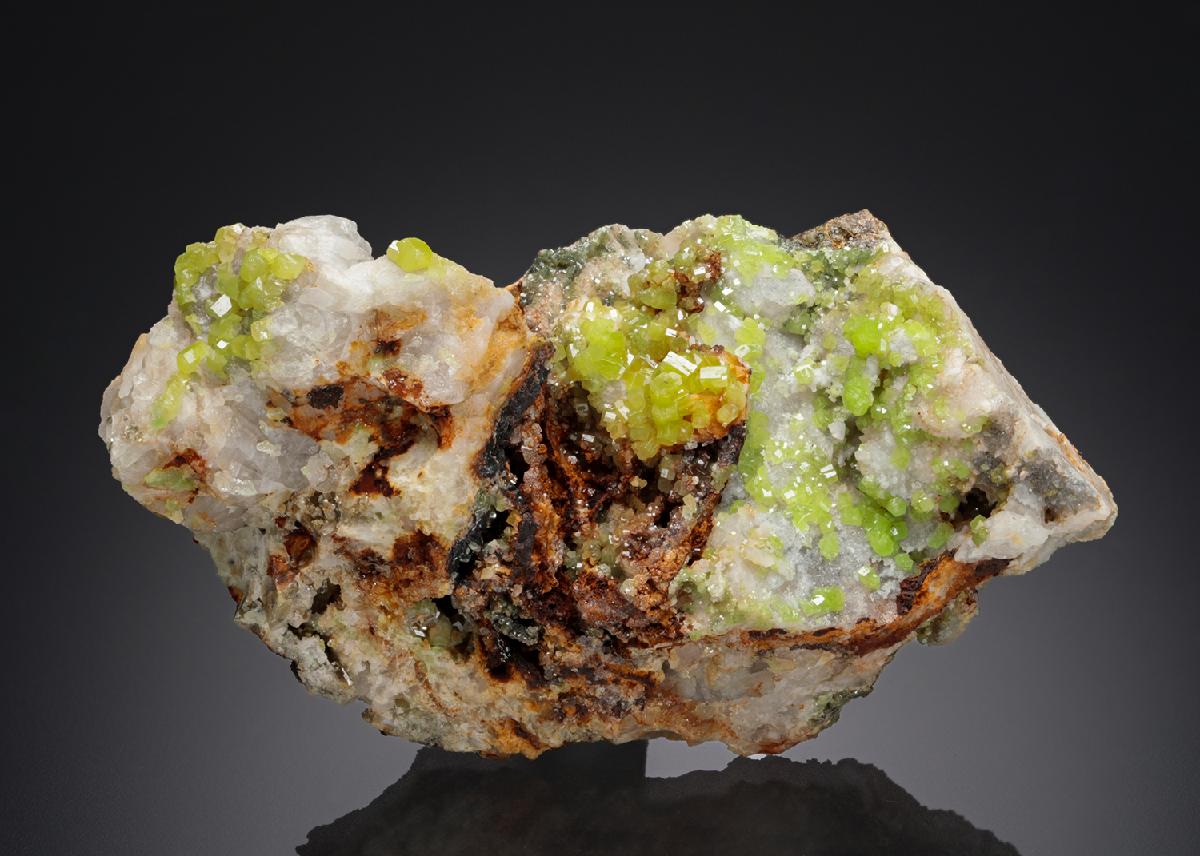 CC26849 specimen image