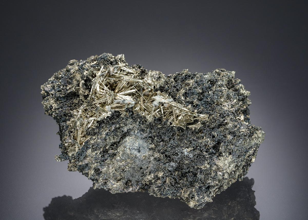 CC26851 specimen image