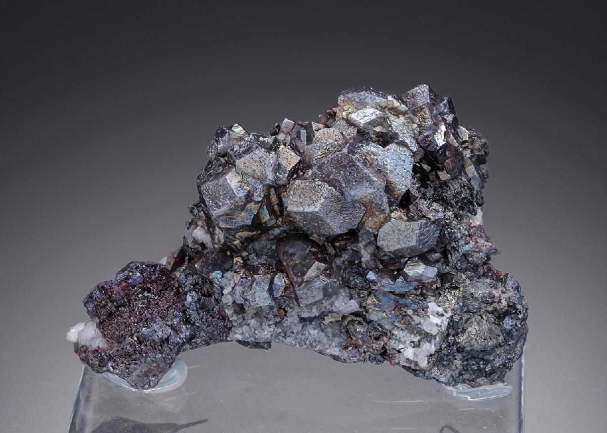 CC26853 specimen image
