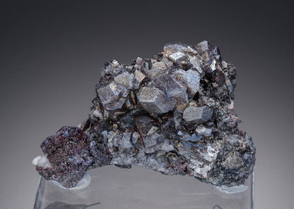 CC26853 specimen image