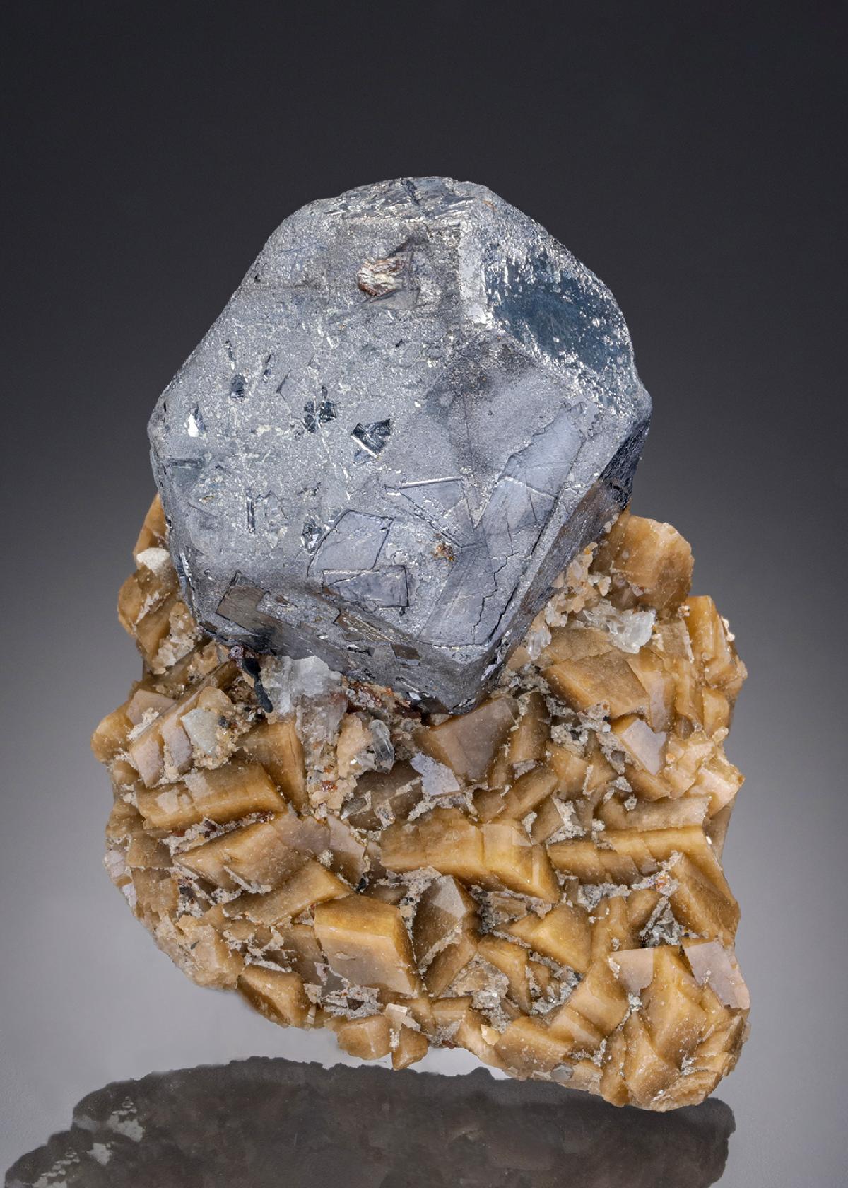 CC26855 specimen image