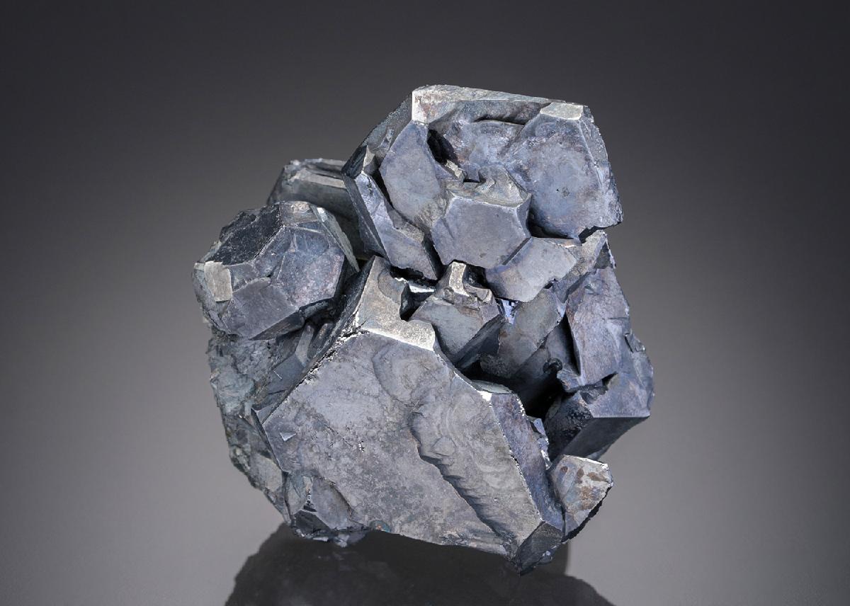 CC26857 specimen image