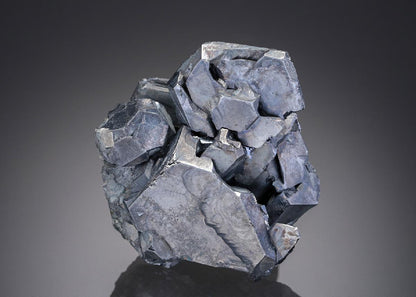 CC26857 specimen image
