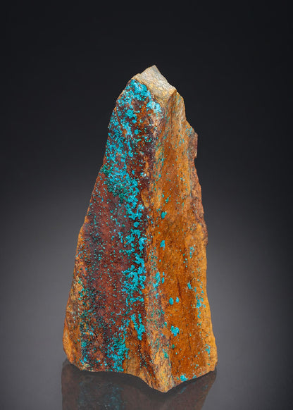 CC26859 specimen image