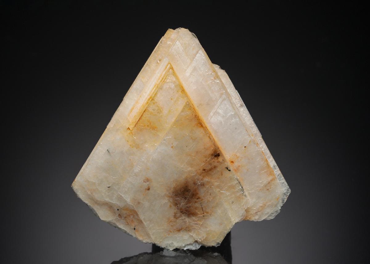 CC26867 specimen image