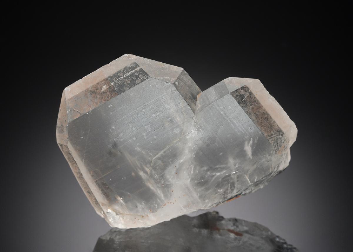 CC26869 specimen image