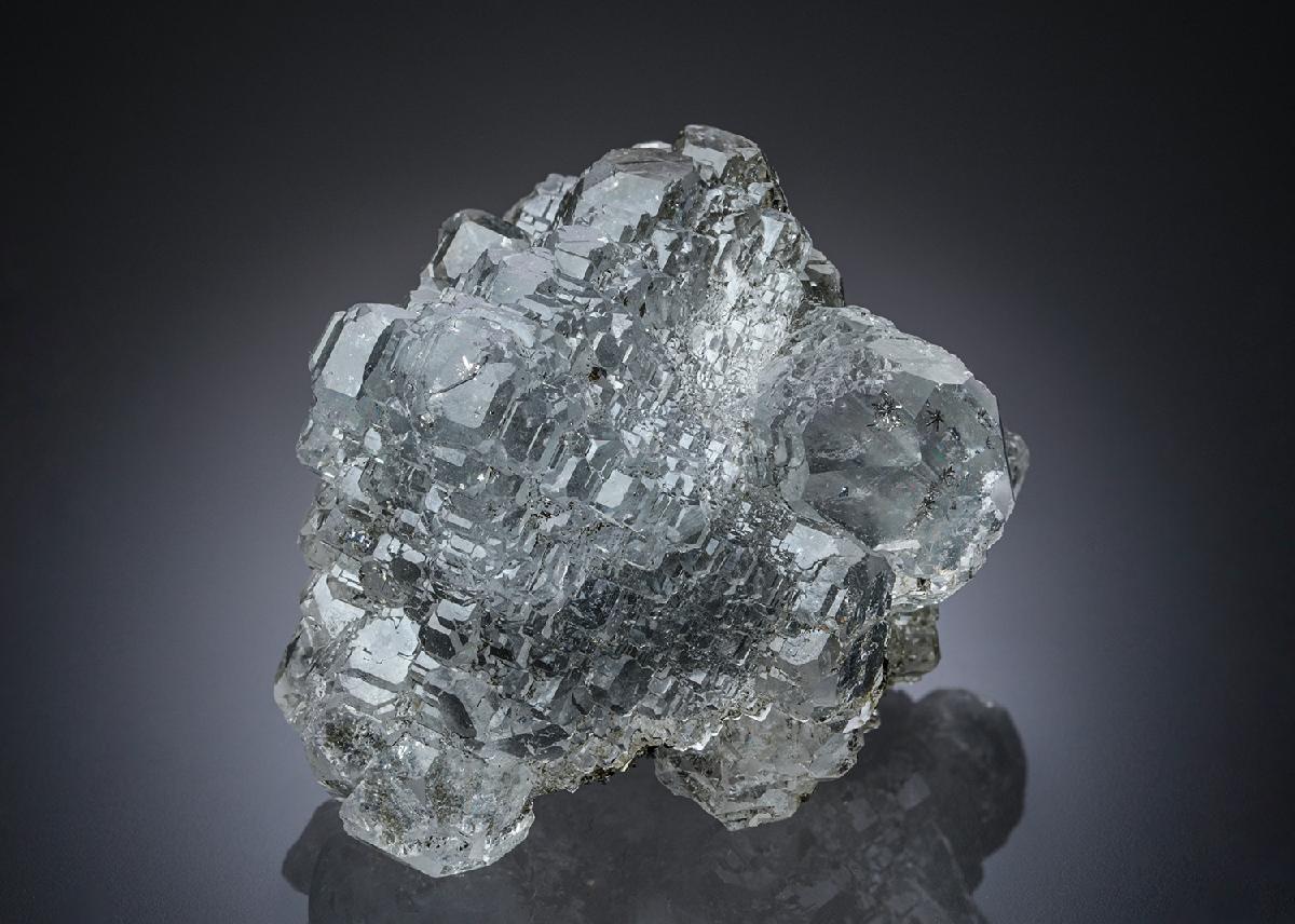 CC26871 specimen image