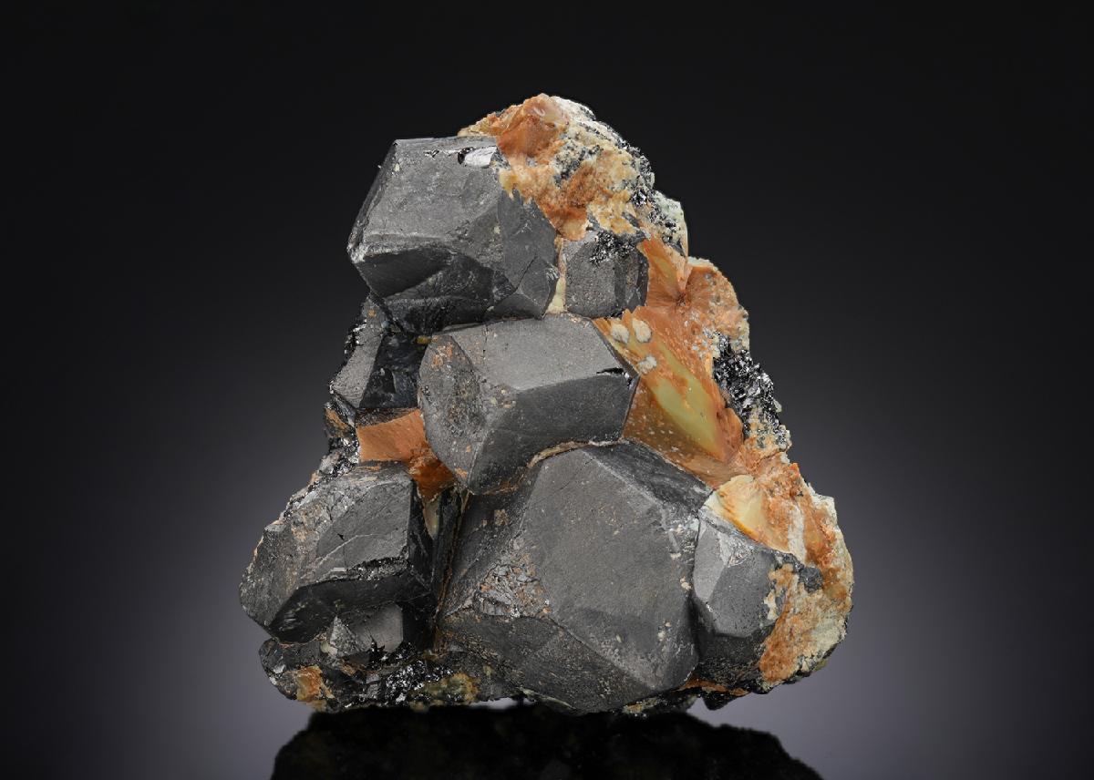 CC26873 specimen image
