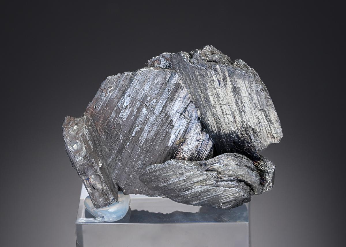 CC26883 specimen image