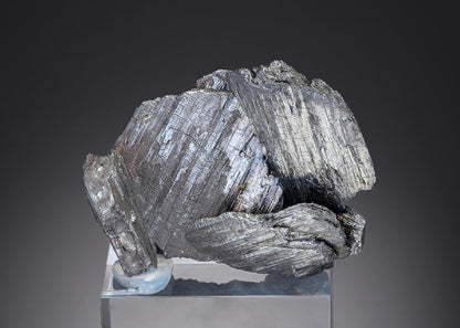 CC26883 specimen image