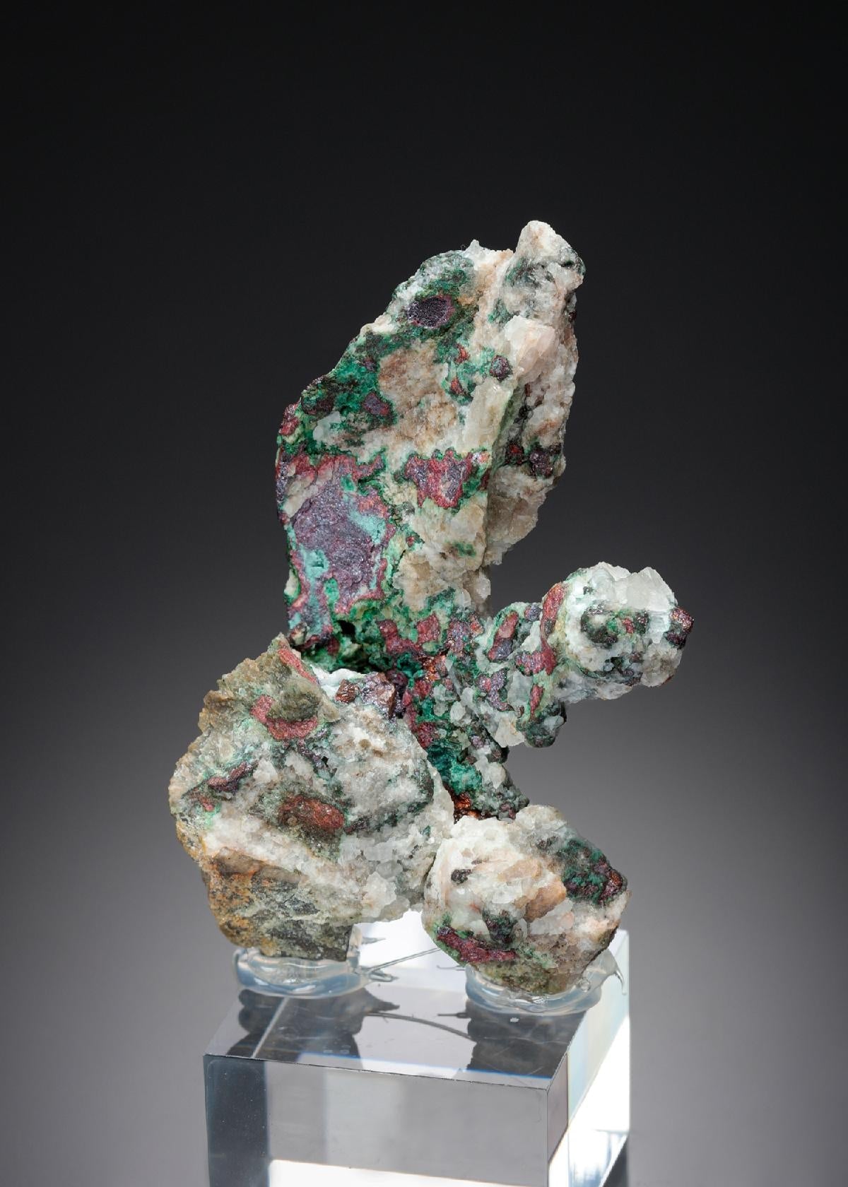CC26891 specimen image