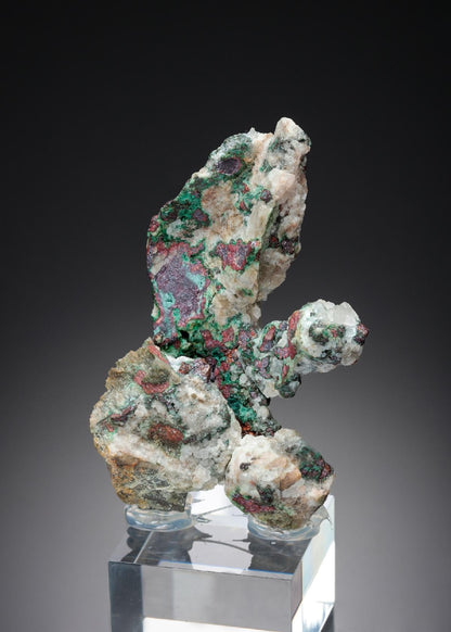 CC26891 specimen image