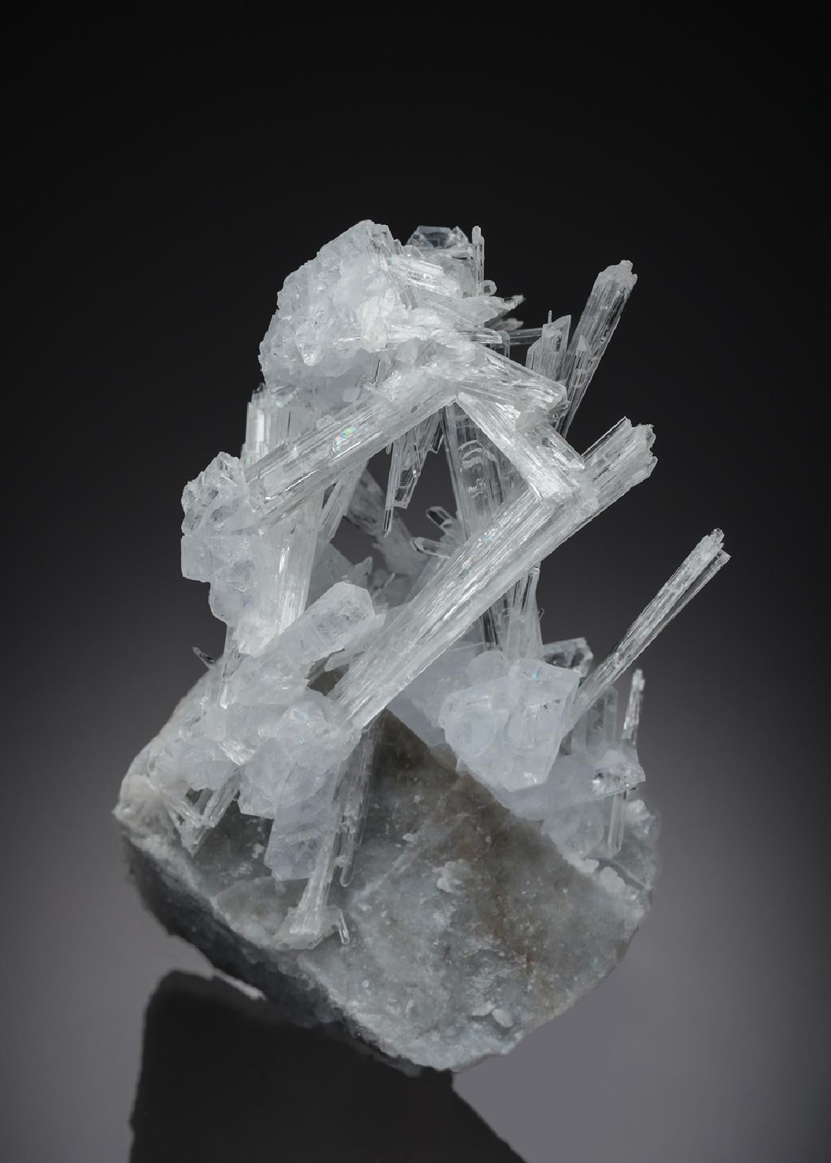 CC26893 specimen image