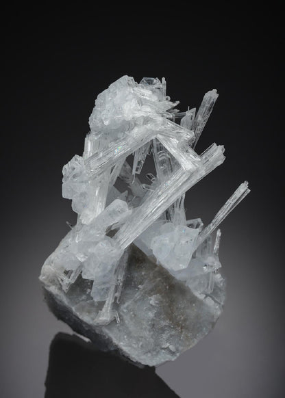 CC26893 specimen image