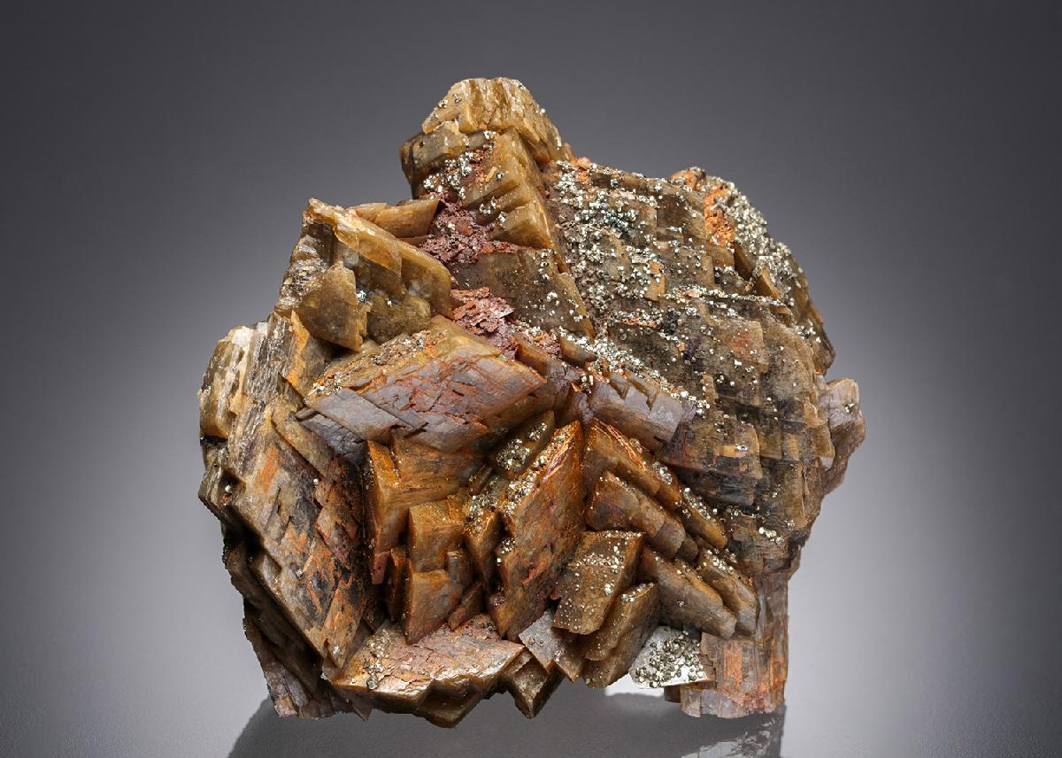 CC26895 specimen image