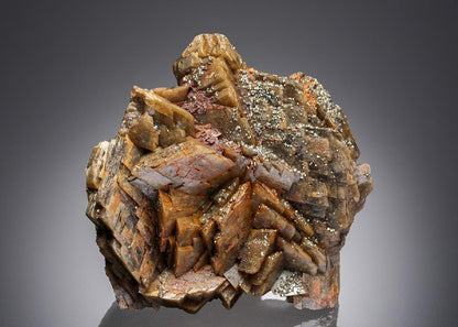 CC26895 specimen image
