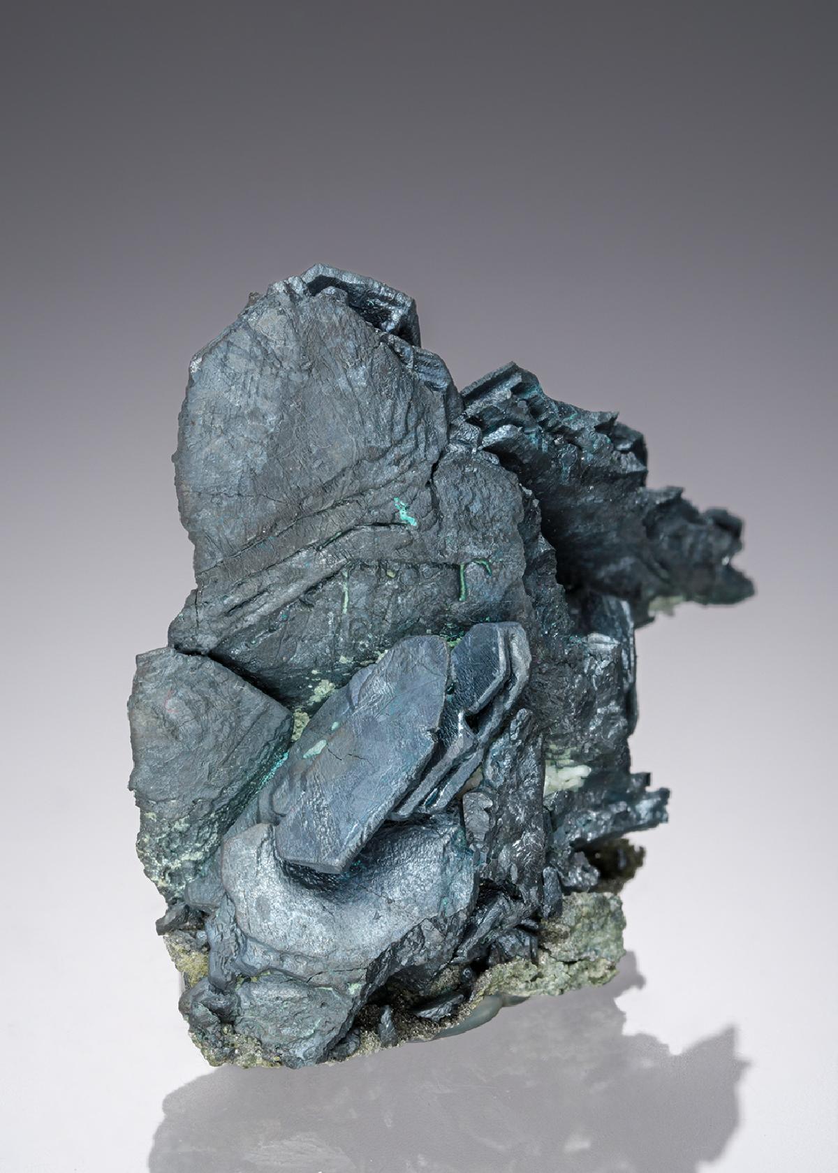 CC26931 specimen image