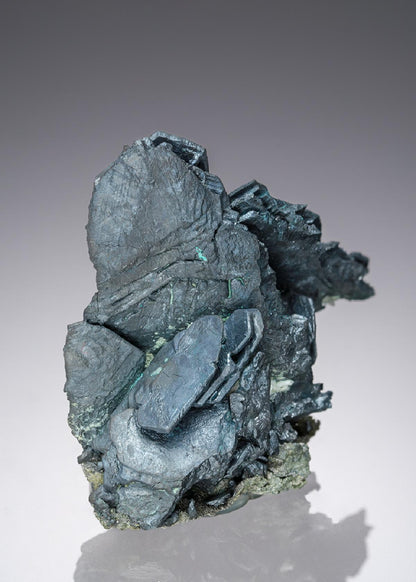 CC26931 specimen image
