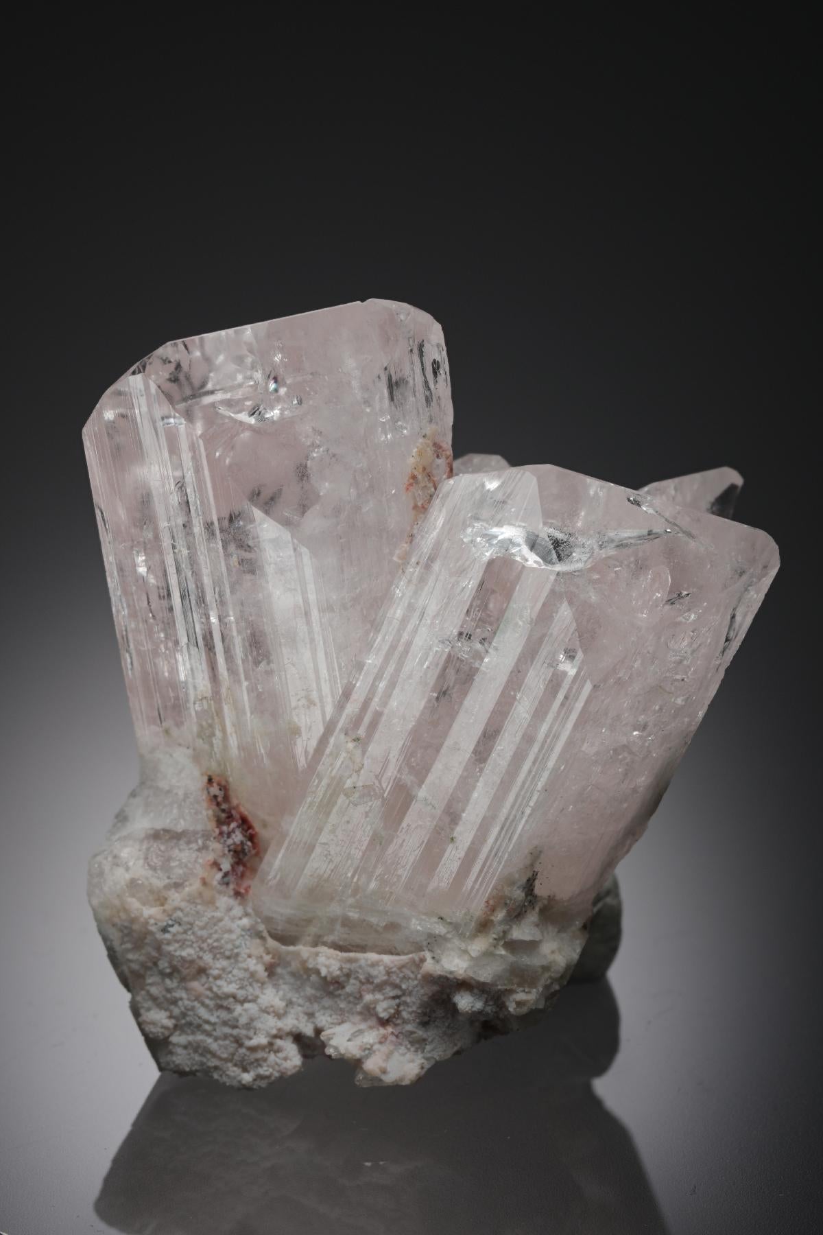 CC26941 specimen image