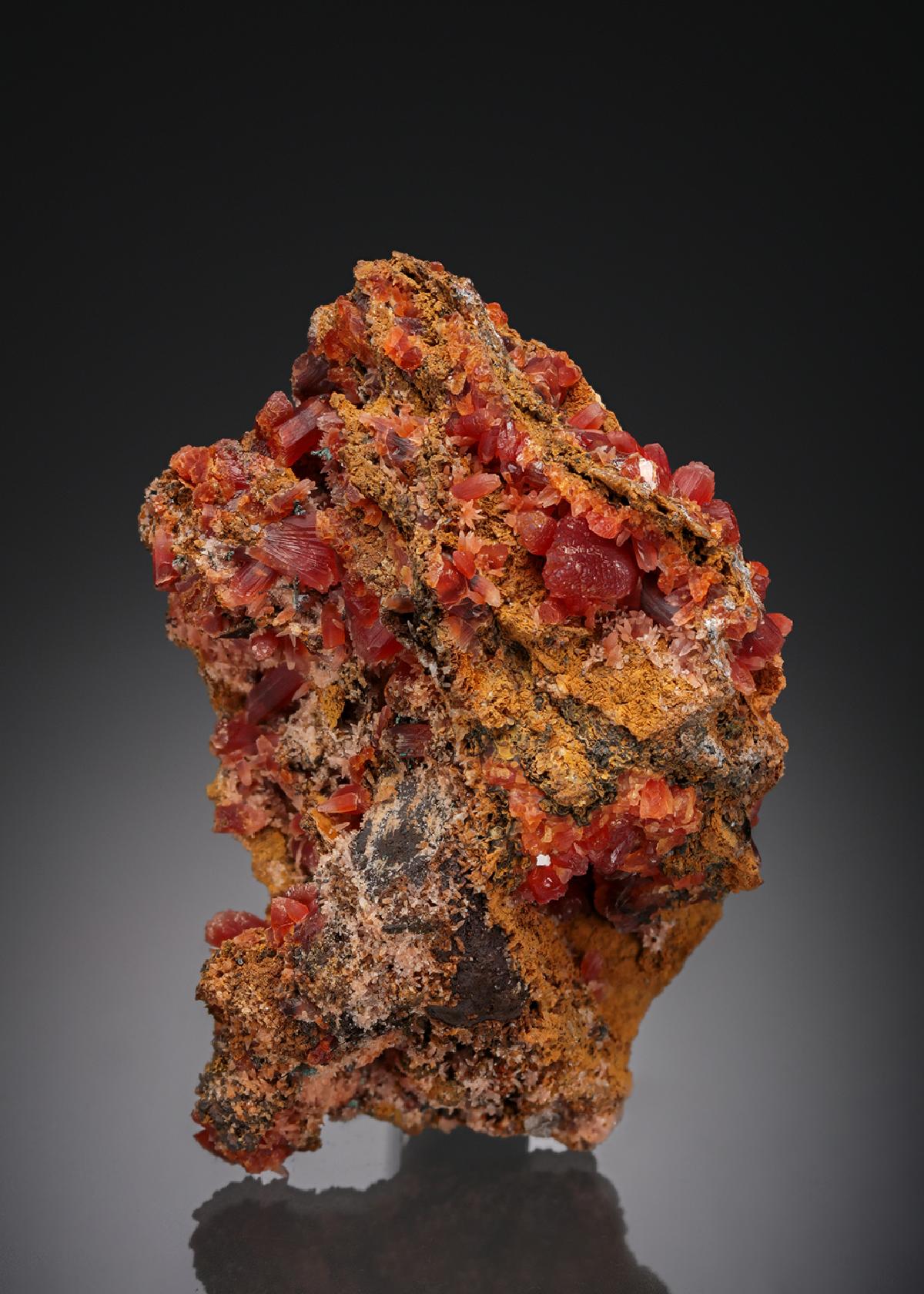 CC26943 specimen image