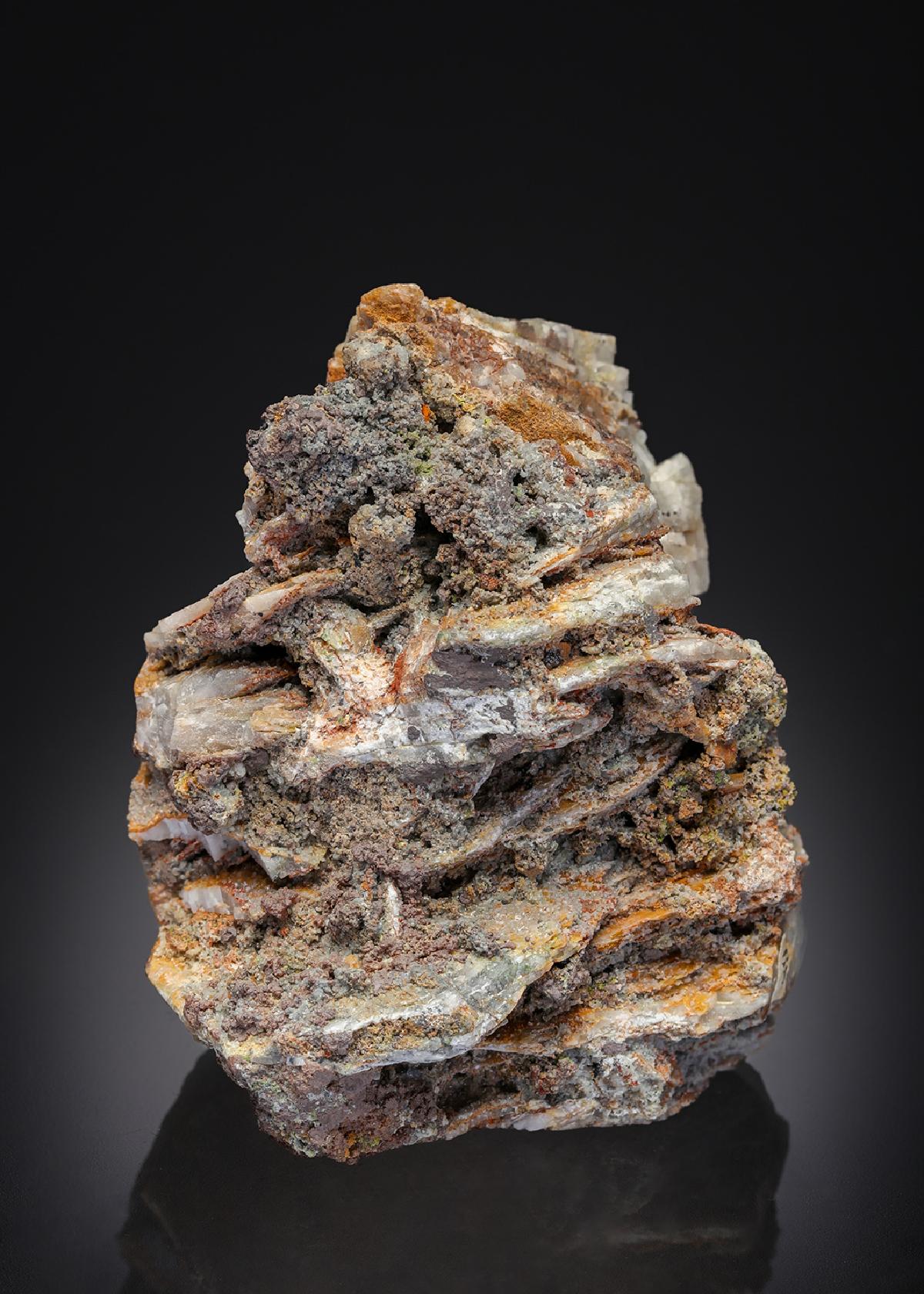CC26949 specimen image