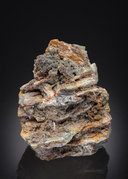 CC26949 specimen image