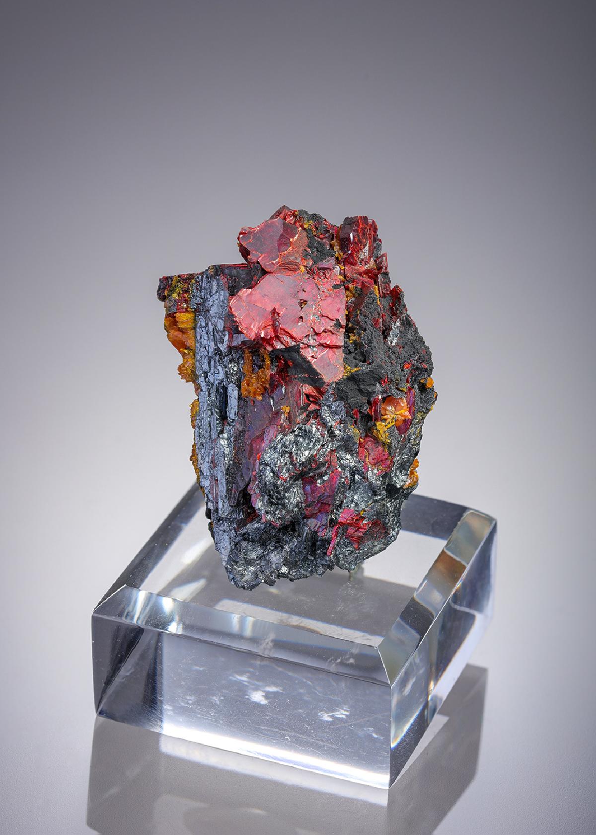 CC26951 specimen image